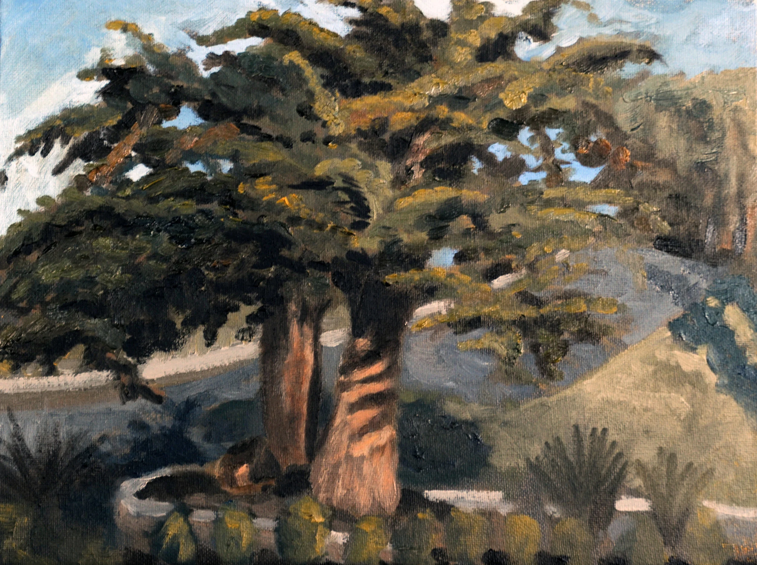 Golf Course Tree Afternoon