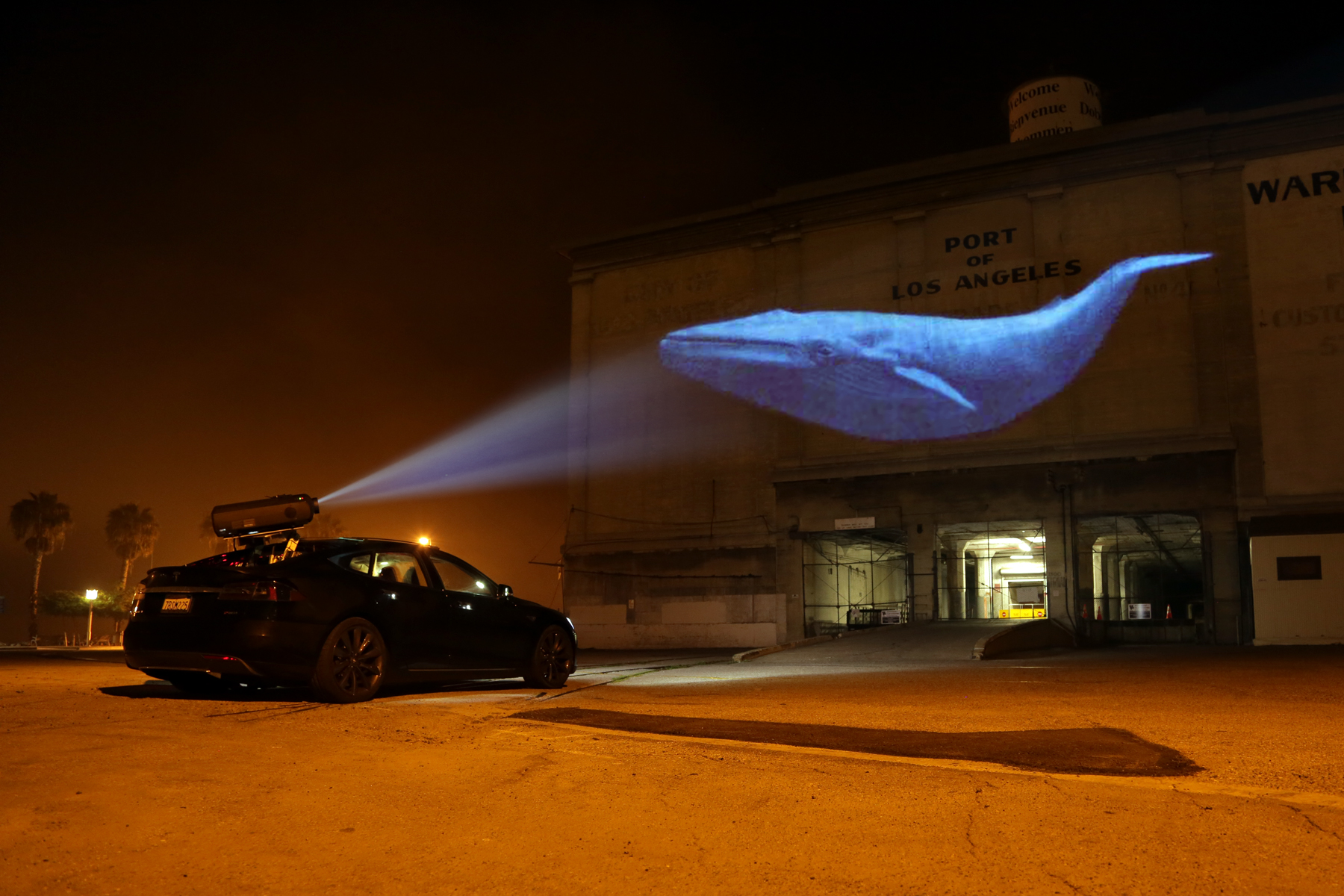 Specially-equipped vehicles with powerful projectors shed light on endangered species in Racing Extinction