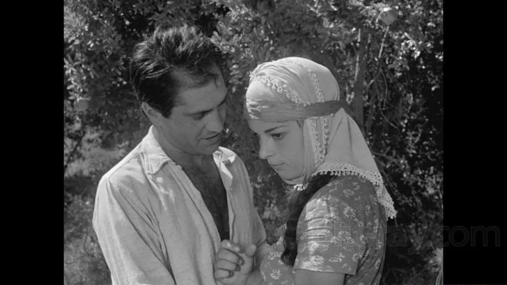 Dry Summer (1963)
