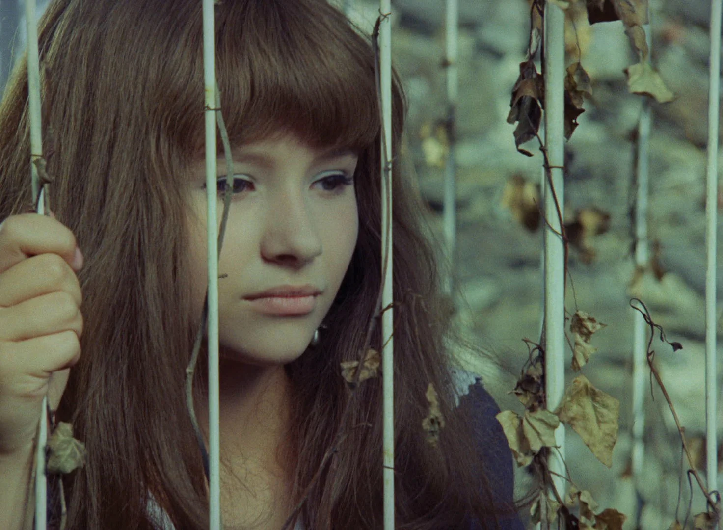 Jaroslava Schallerov á in Valerie and Her Week of Wonders.