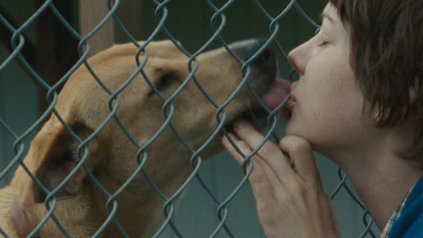 Michelle Williams gives an exceptional performance as Wendy, a character resigned to society's margins