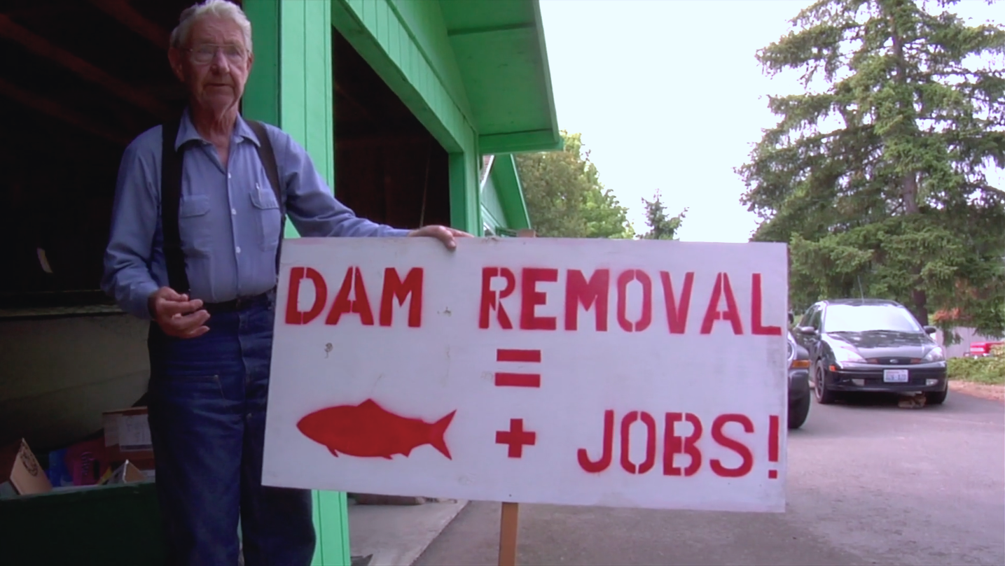 Remove-the-dams activism in The Memory of Fish.