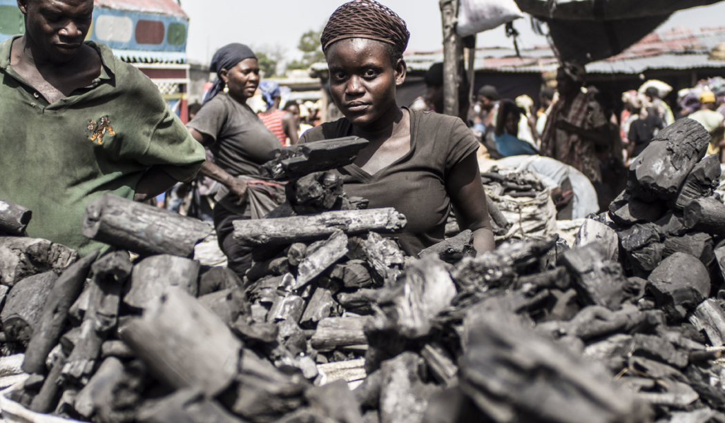 Charcoal for sale in a Haitian market in Death by a Thousand Cuts.