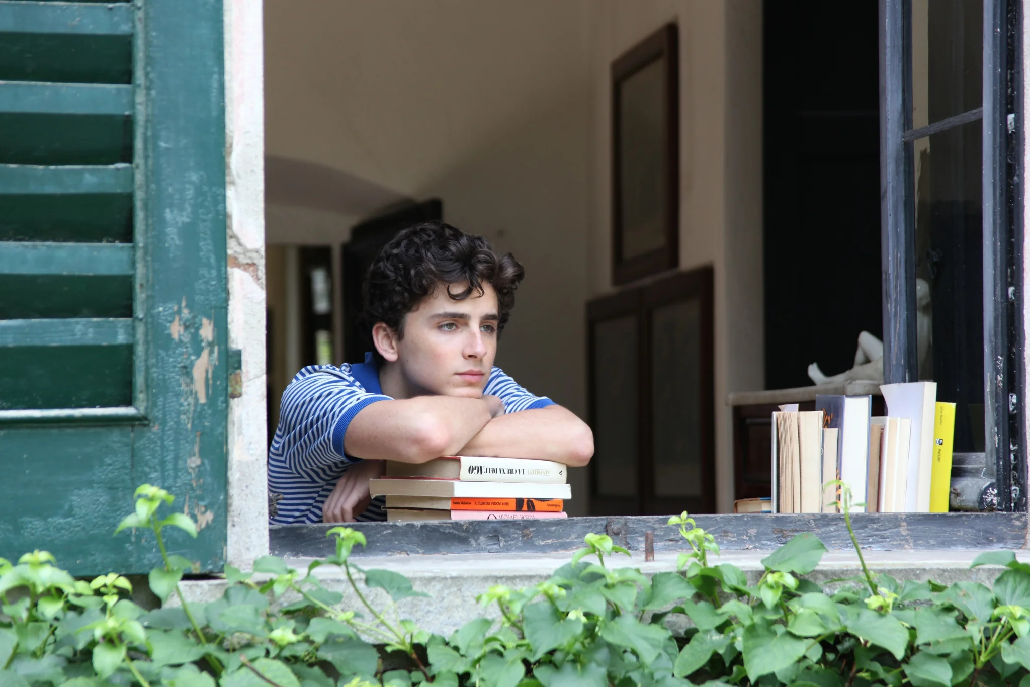 Seventeen-year-old Elio (Timothée Chalamet) is in the process of exploring his sexual identity.