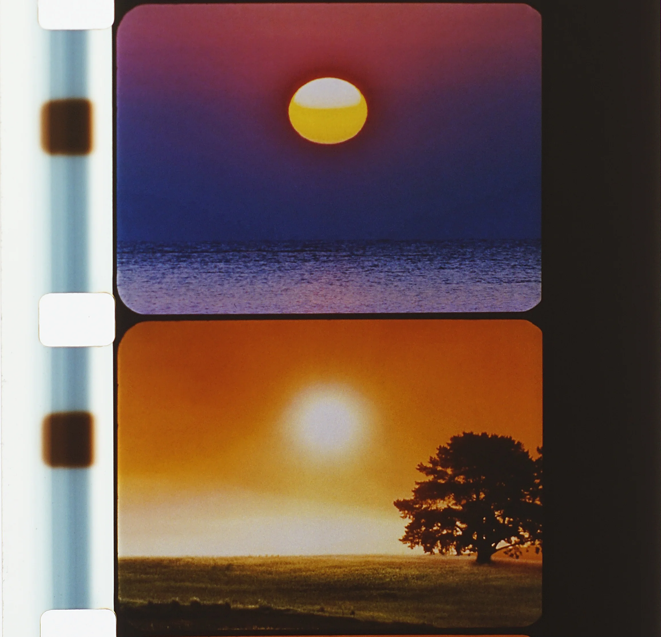 Set (2016)