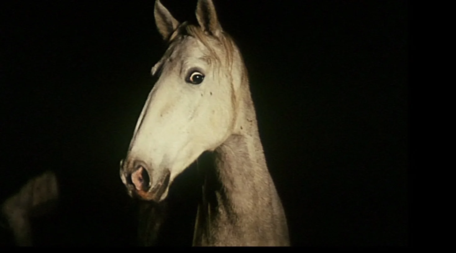 Elegy (1965)