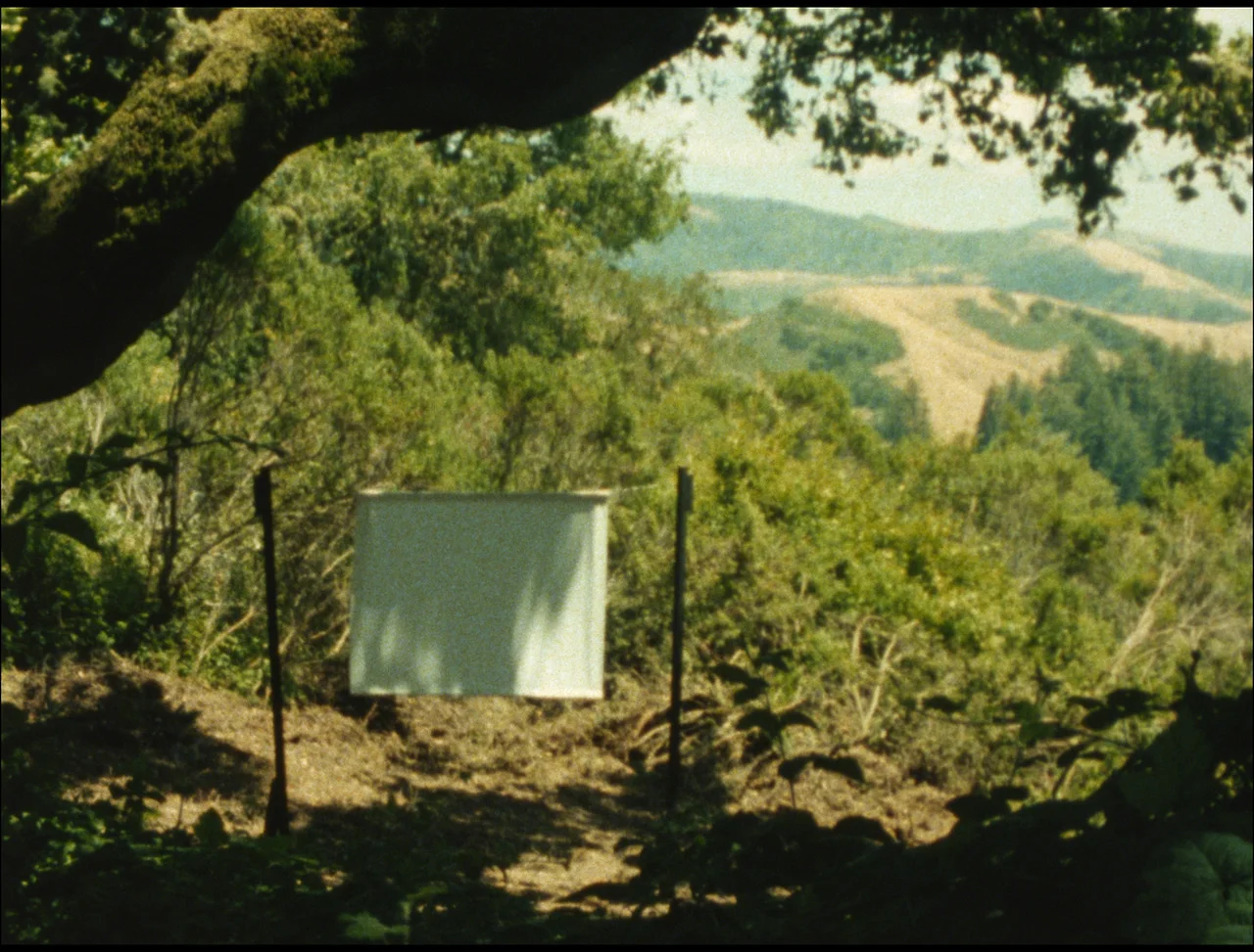 A proposal to project (2017)