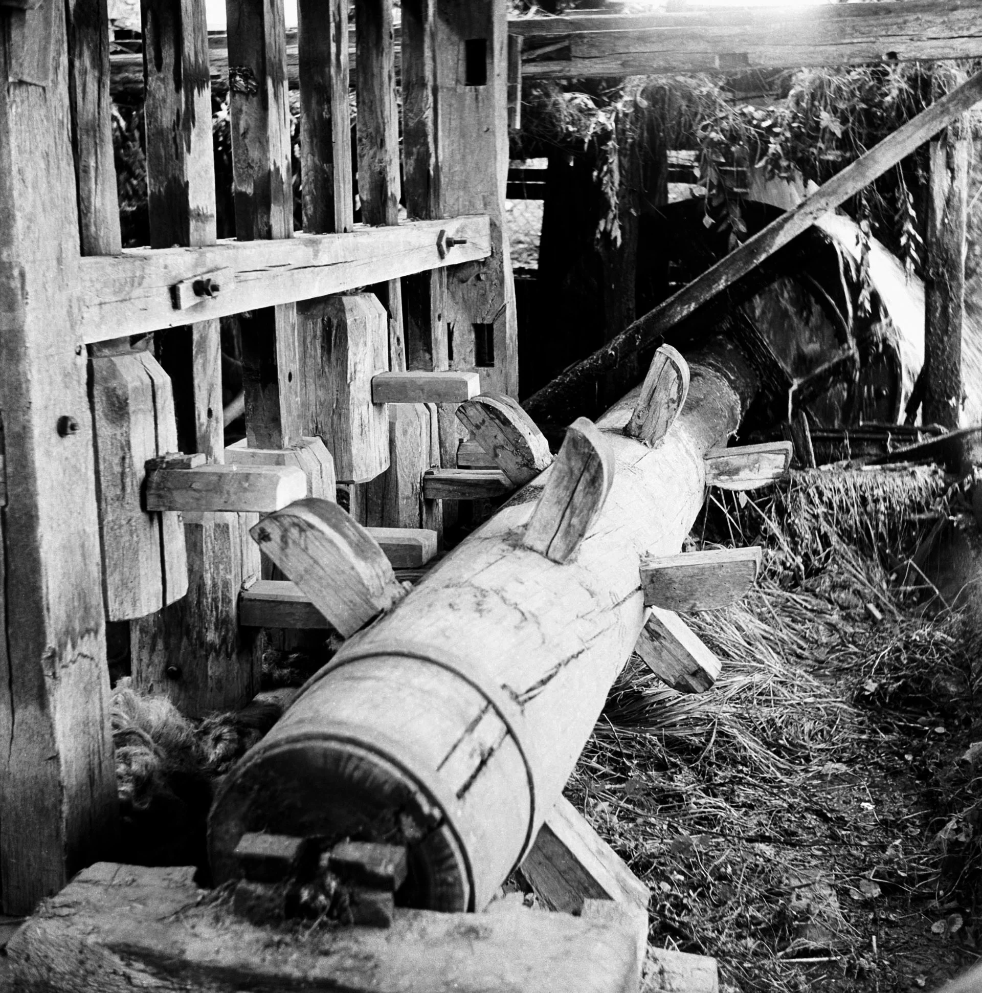 Water and Work (1963)