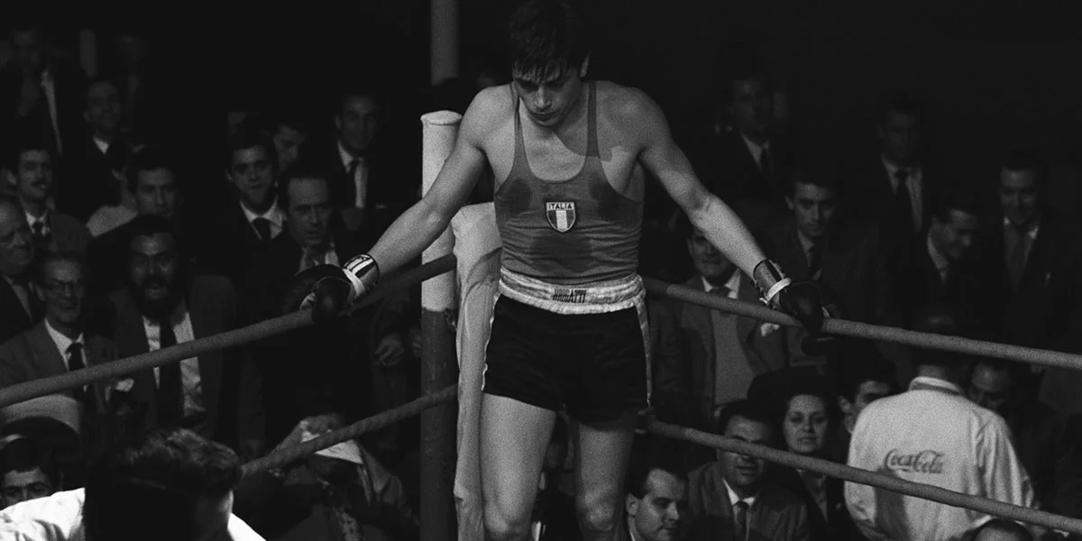 Rocco in the ring.
