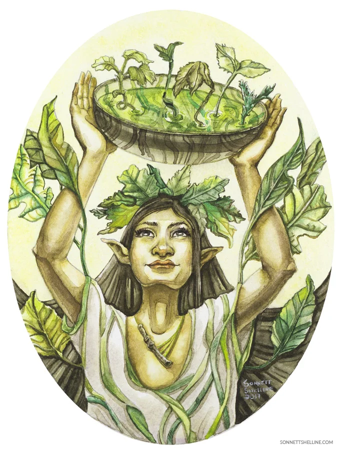 Root Sanctuary