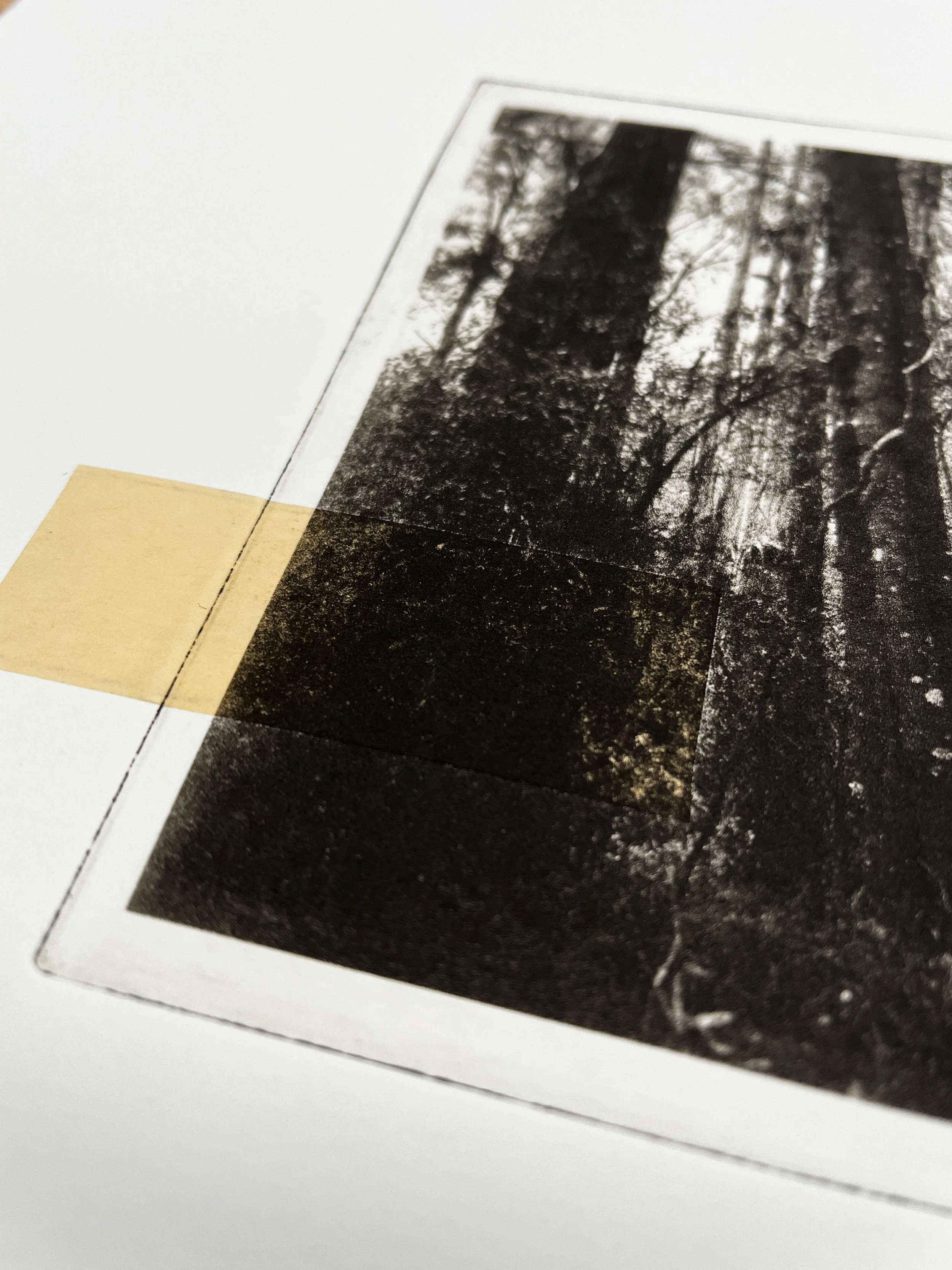 Printing-0873.jpg