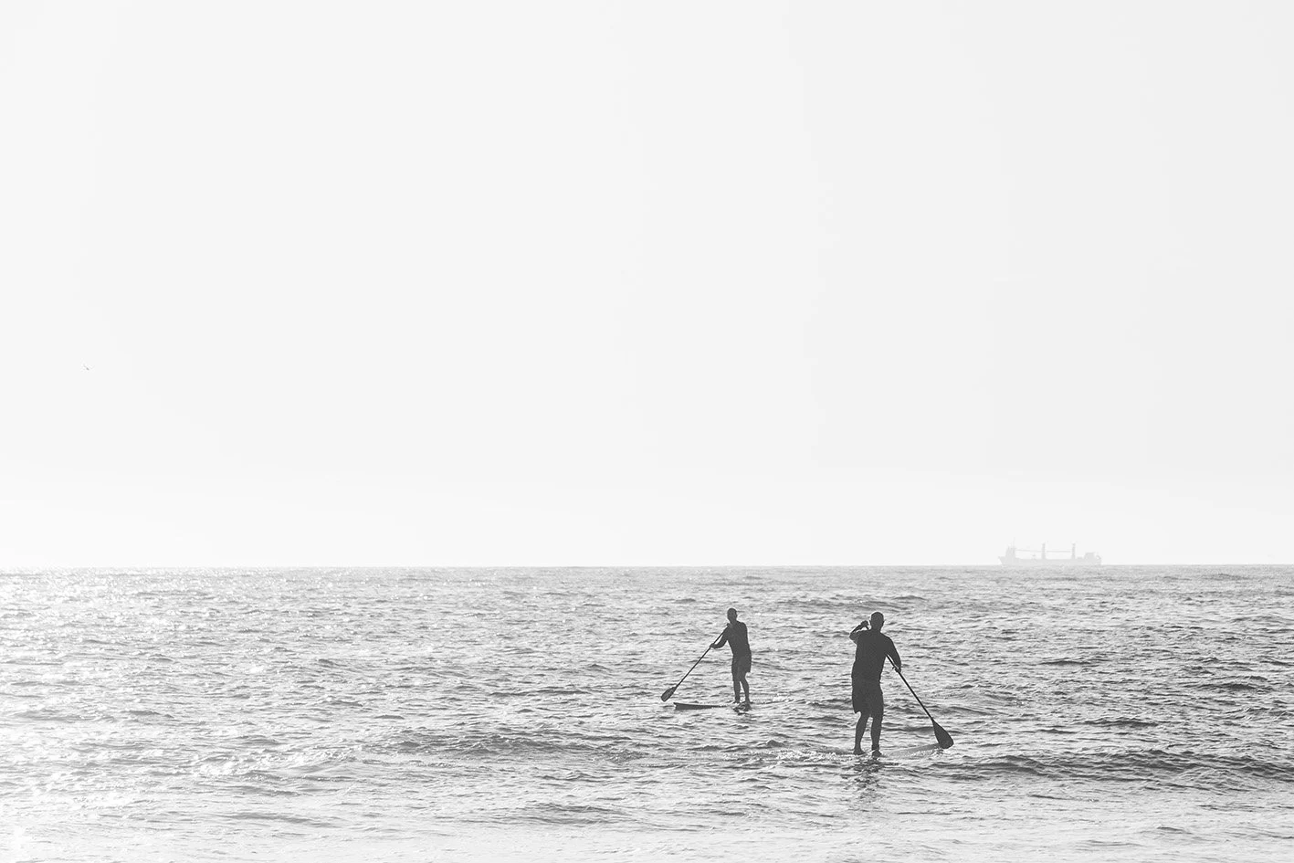   Bulli, NSW  