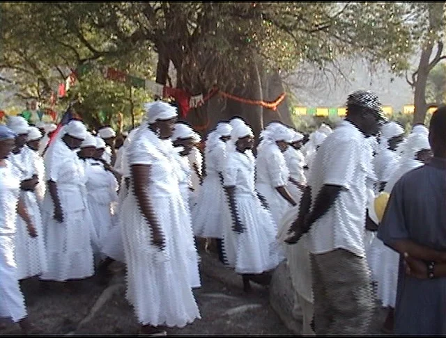 Ounsi around the Mapou tree.