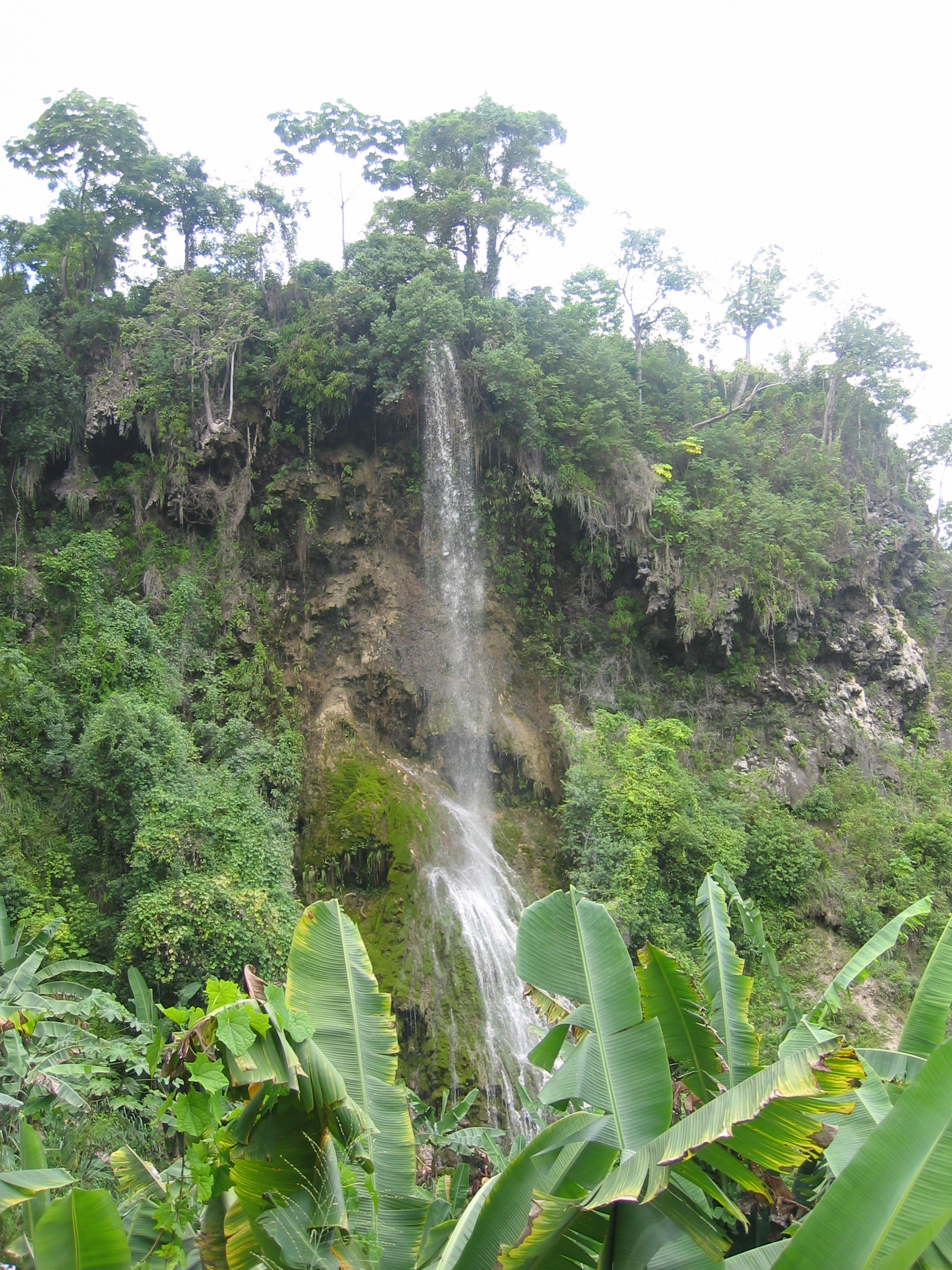  Part of the waterfalls of Sodo (Saut d'Eau). 