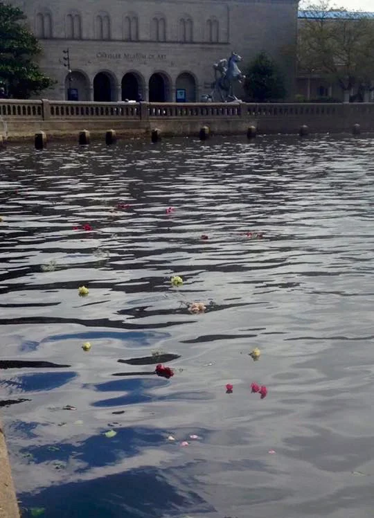 WatersMidstFlowers.EmilyStuart.jpg