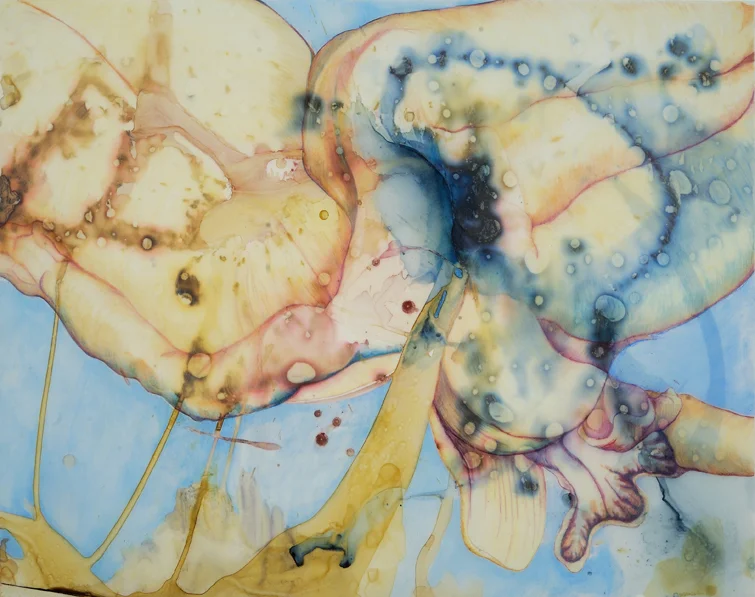 DREAMING CYMBIDIUM: ink and color pencil on vellum 19"x24" 2013