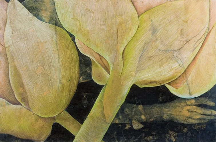 Lotus/Lotis: Reclining. mixed media drawing 18"x27" 2009
