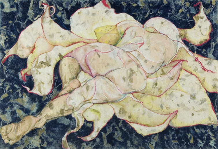 Lotus/Lotis: Stretch. mixed media drawing 37"x25" 2009