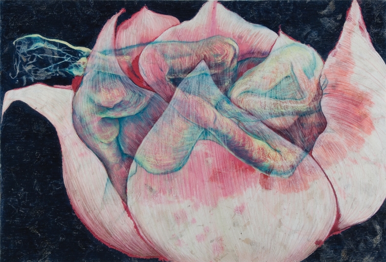 Lotus/Lotis: Furled. mixed media drawing 37"x25" 2009