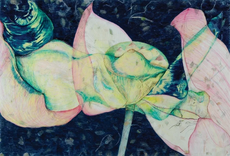 Lotus/Lotis: Opening mixed media drawing 37"x25"
