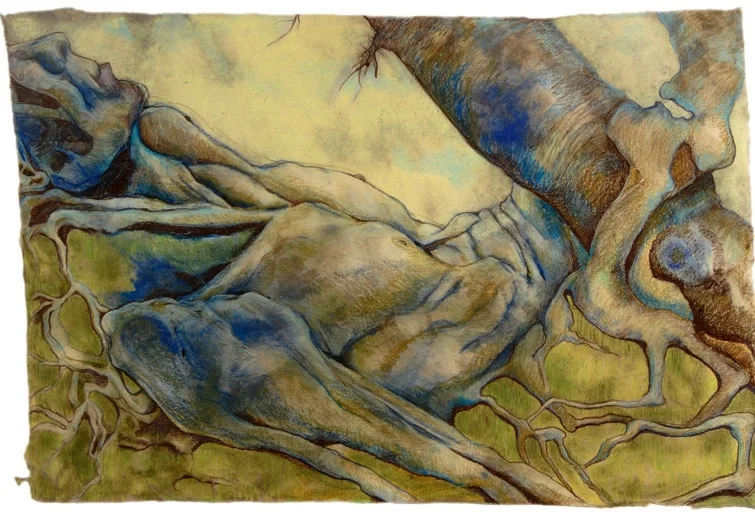 BLUE BANYAN: color pencil/pastel 20” x 30” 2008