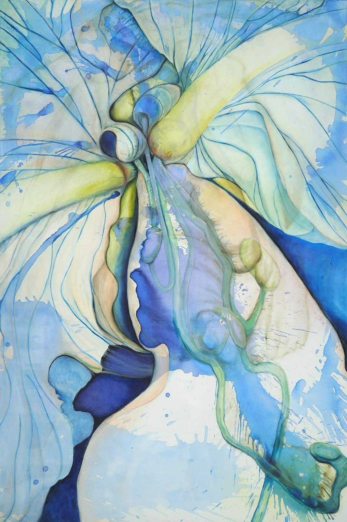 Amaryllis