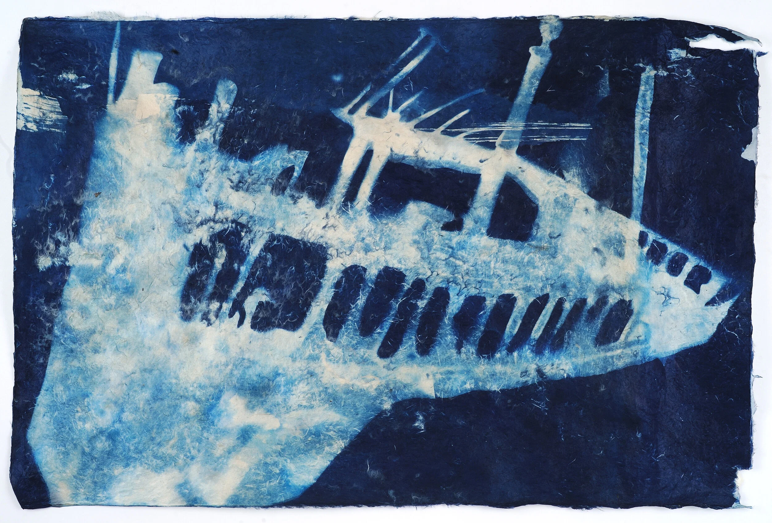 GHOST SHIP: Cyanotype on paper 30” x 20”