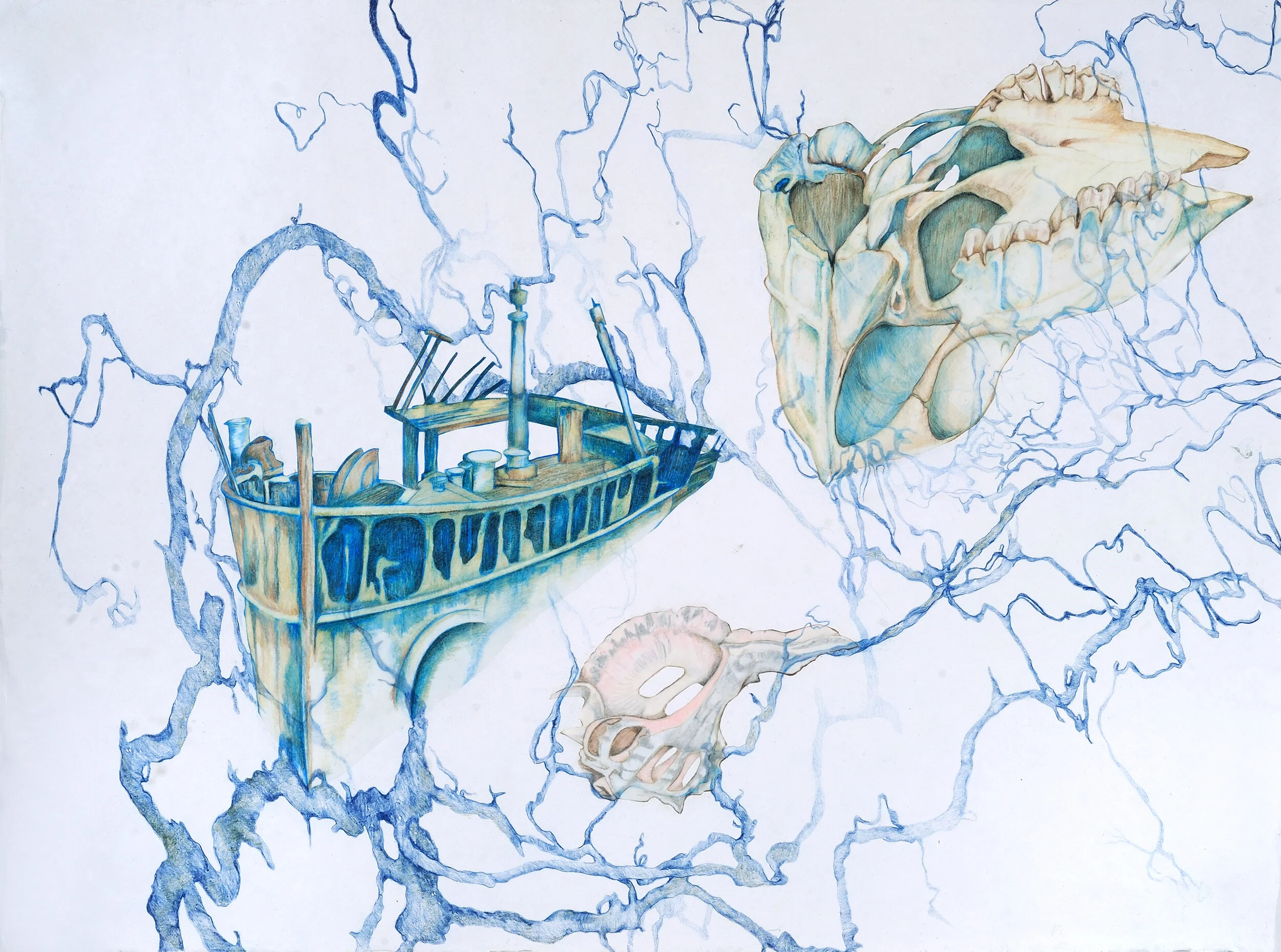 FAMILY TREE 1: Color pencil on vellum and paper 35” x 26”