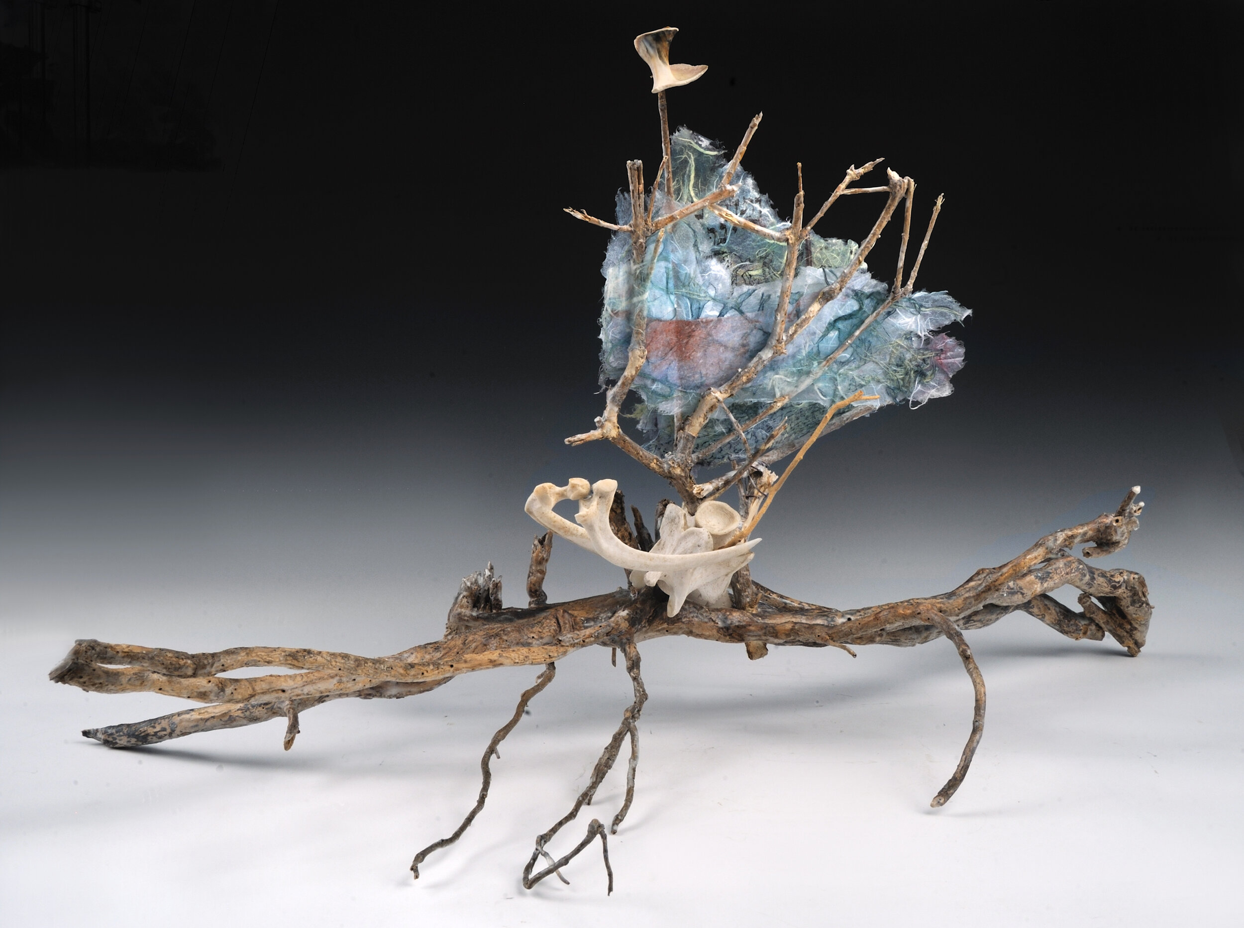 NIGHT BOAT OF BUTTERFLY BONES: wisteria branch, deer bones, shell, wire, gauze, unryu paper, vellum, ink, pigments, Harry Lauder’s walking stick, medium, glue 32”x 14”x 16”