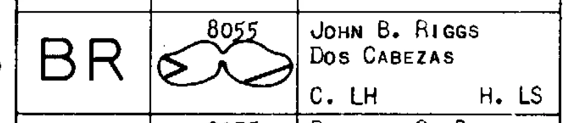 BR brand John B Riggs.jpg