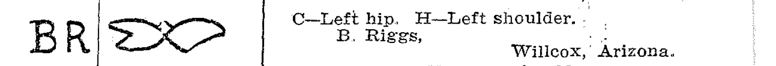 BR brand B Riggs .jpg