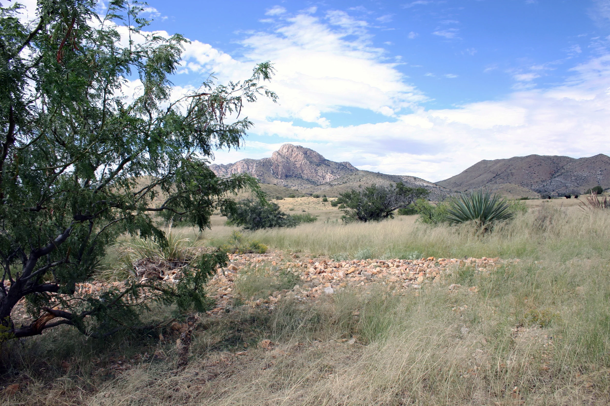 RED WING RANCH