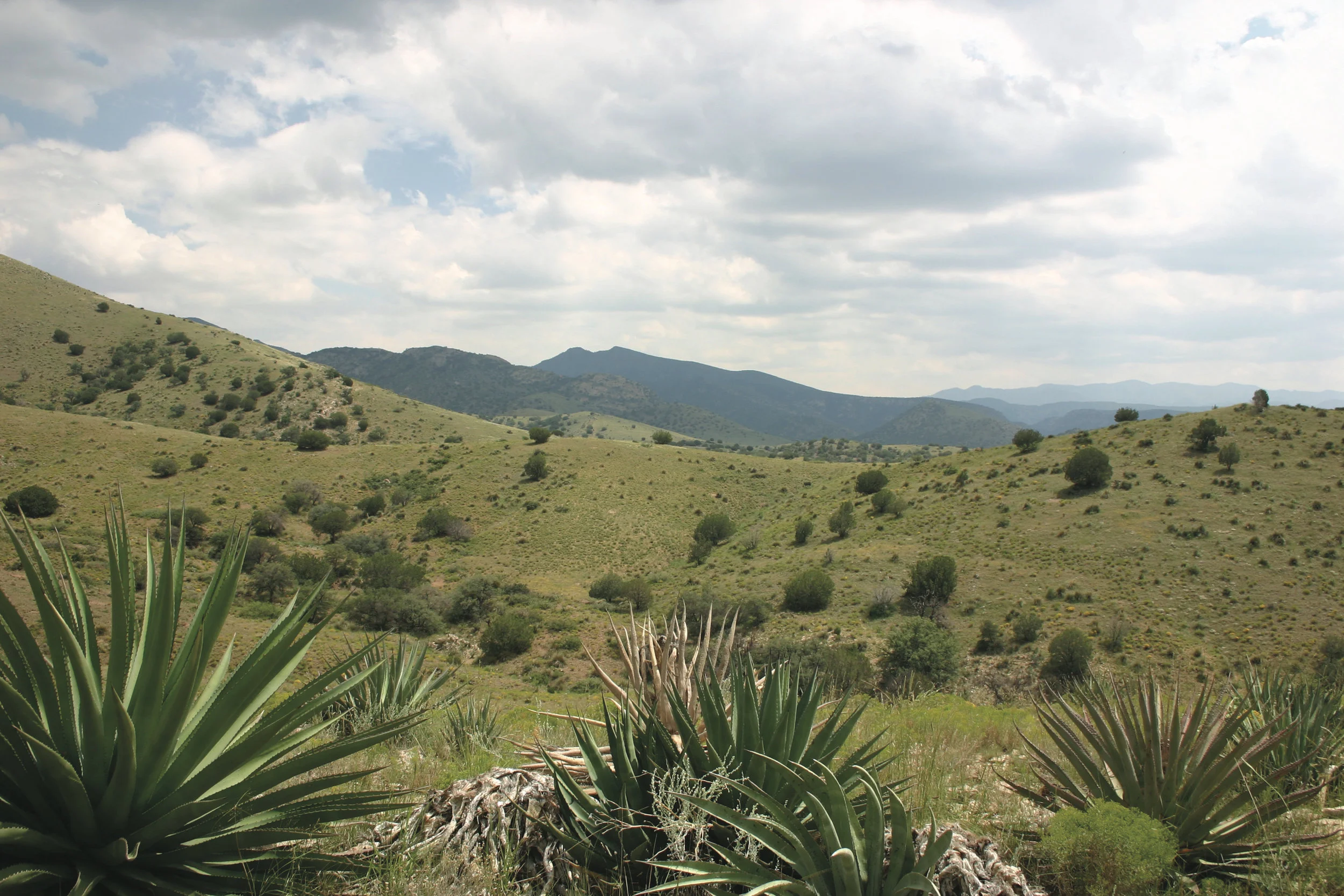 RED WING RANCH
