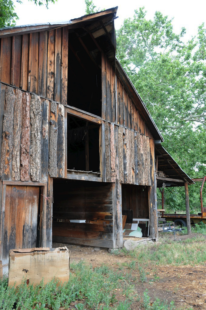 RHODA RIGGS BARN
