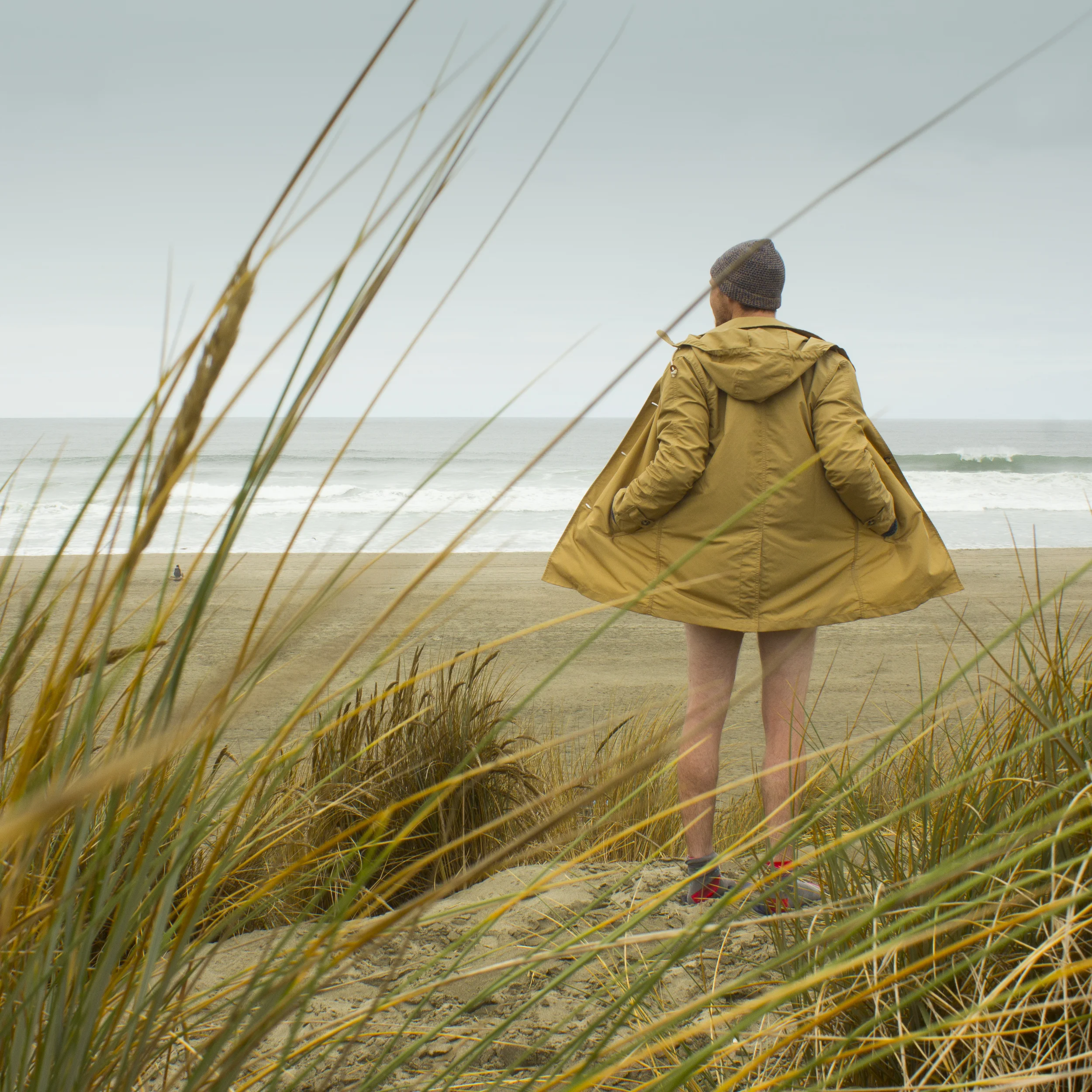 MOLLUSK SURF SHOP