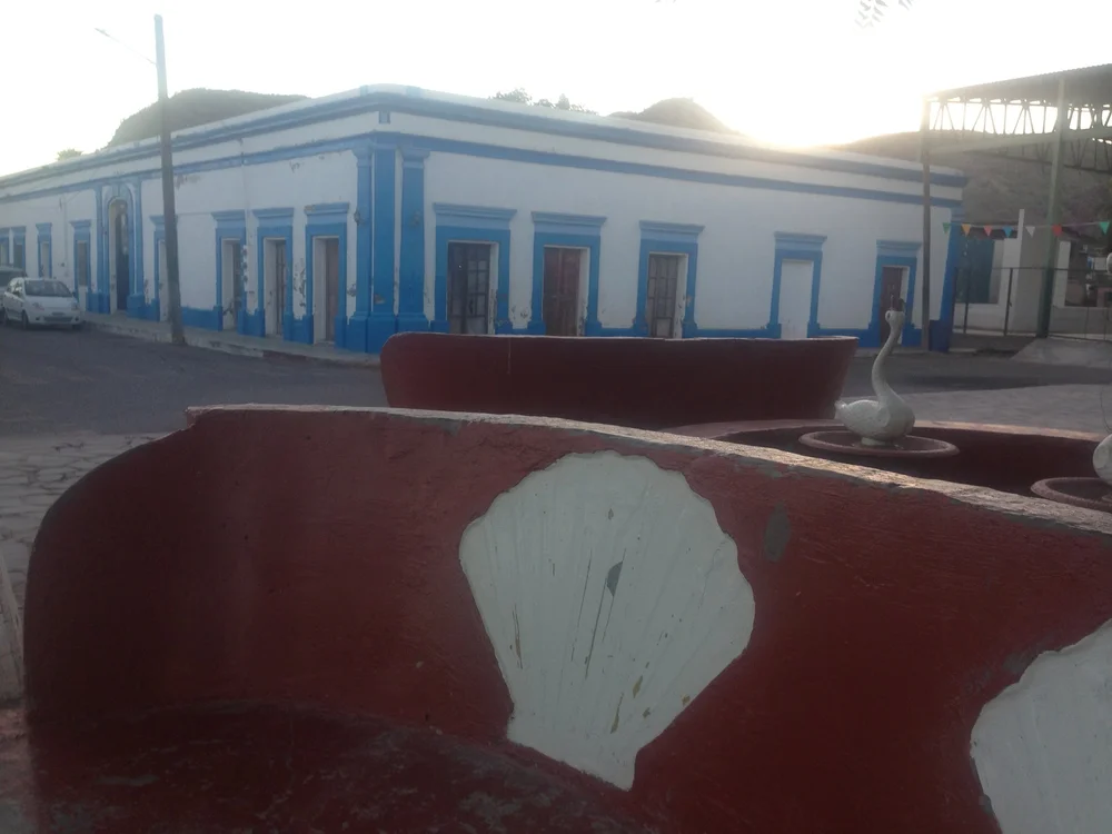IMG_7768.JPG