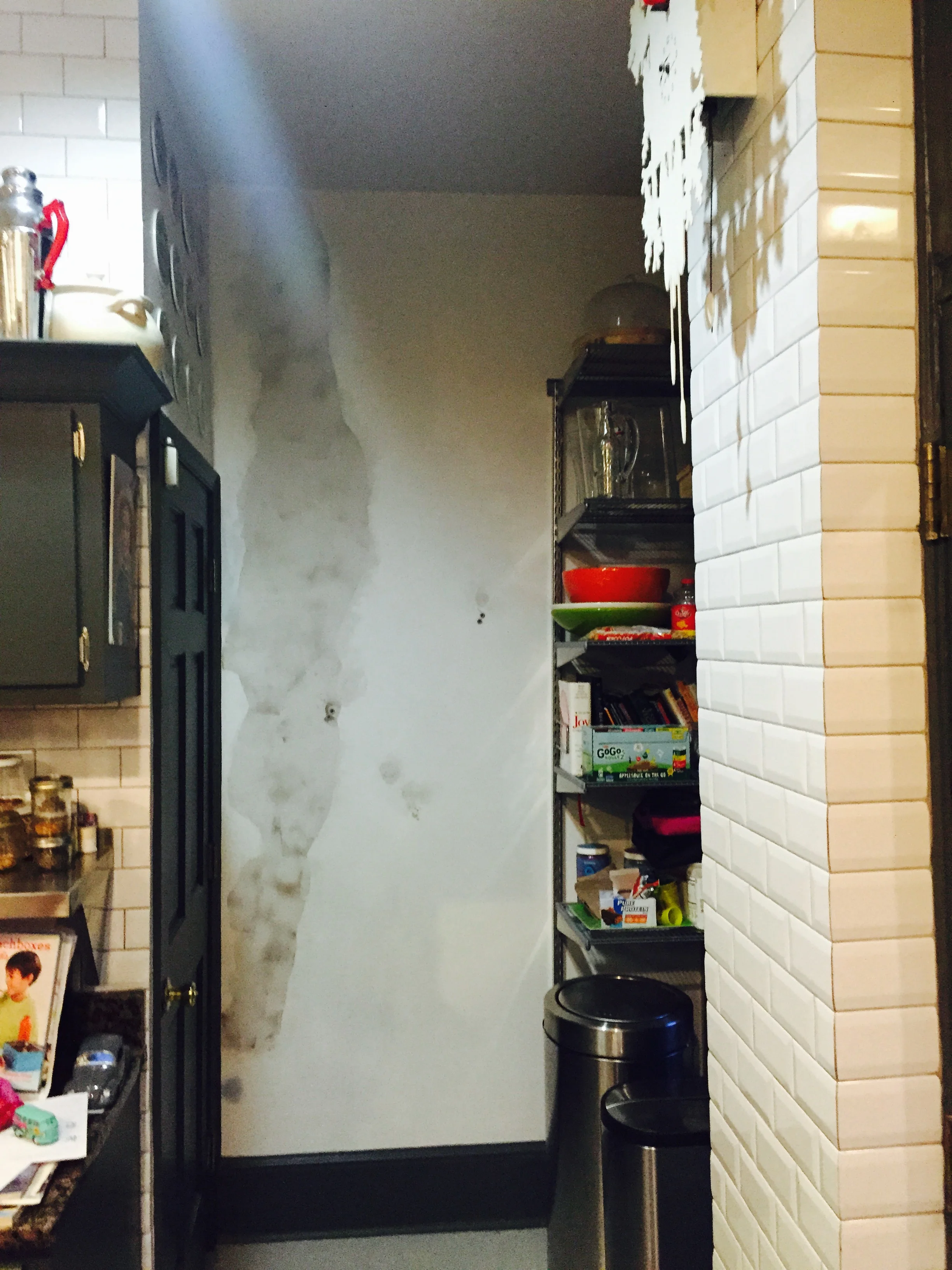  Kitchen Pantry Capitol Hill, Washington DC 