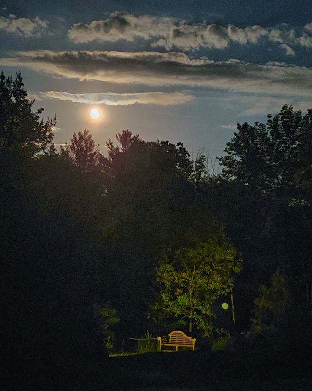 A lovely evening and full Strawberry Moon here at Solace with @solacegardensandgrounds. #fullmoon #moon #fullstrawberrymoon #moonlovers #nightscape #nightshots #solacemaine #pownalmaine #maine #thewaylifeshouldbe #moon_awards #outsidetheboxfoto #sams