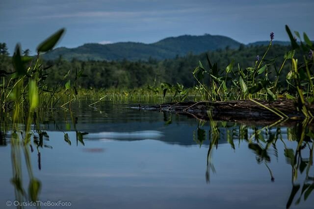 A Loon's perspective of a lake. #aloonsperspective&nbsp;#naturephotography
&nbsp;#nature #thenaturalworld #outsidetheboxfoto #adifferentperspective #aloonsview #maine 
#allthingsbeautiful
