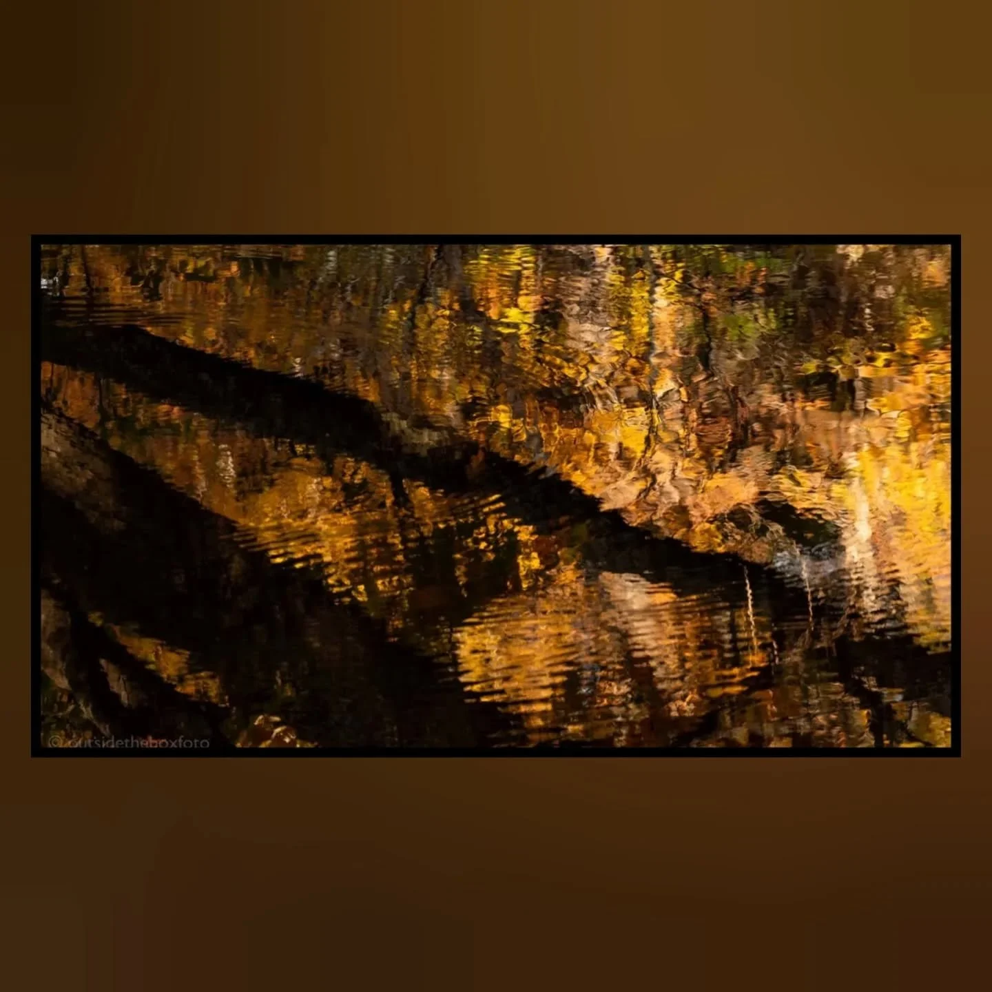 These days of late have been filled with quickly changing colors, wind swept leaves...sometimes looking like big flakes spiraling down to the water and ground, ripples &amp; reflections on the water and the low afternoon sunlight that is irresistible