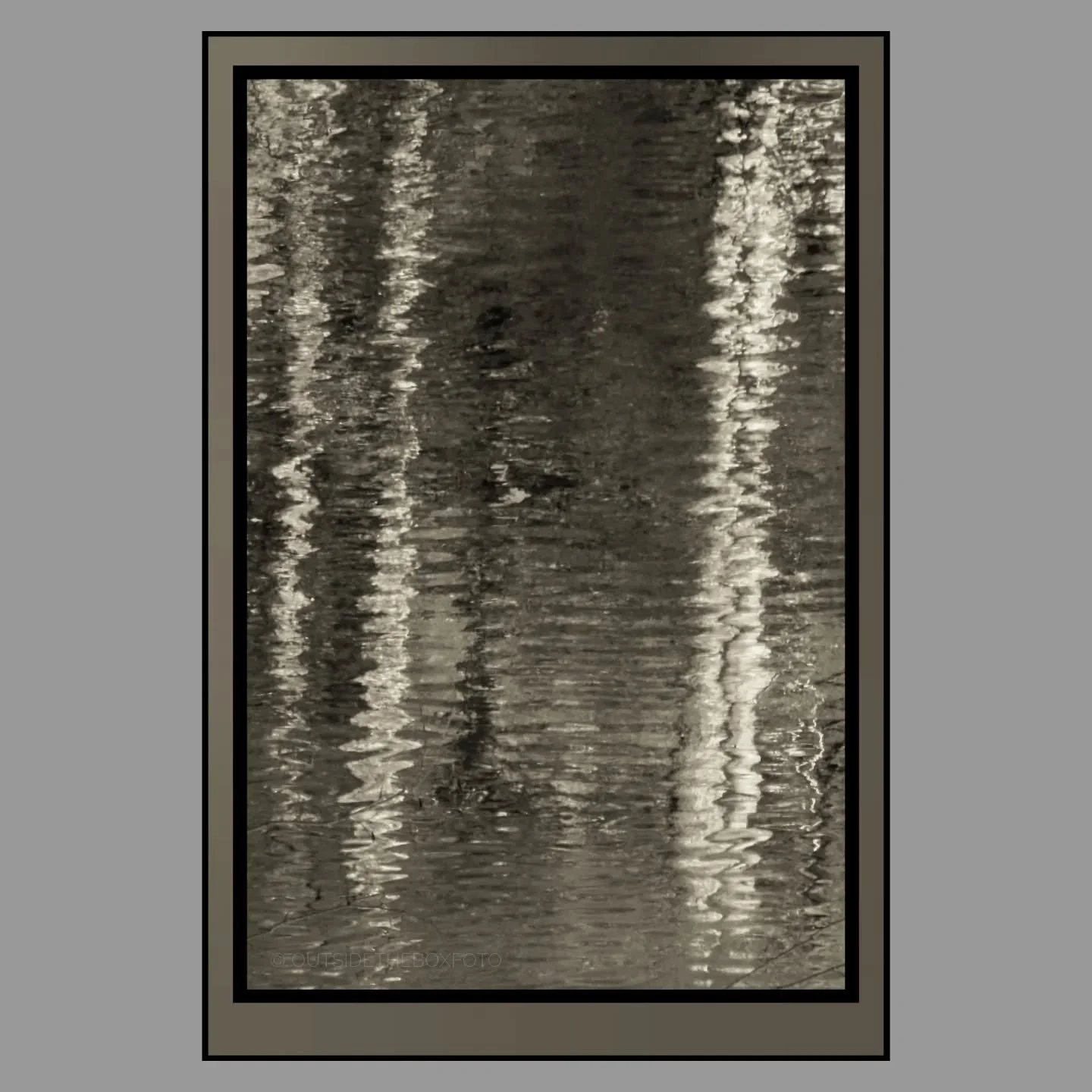 Light, trees, water &amp; reflections! Home.