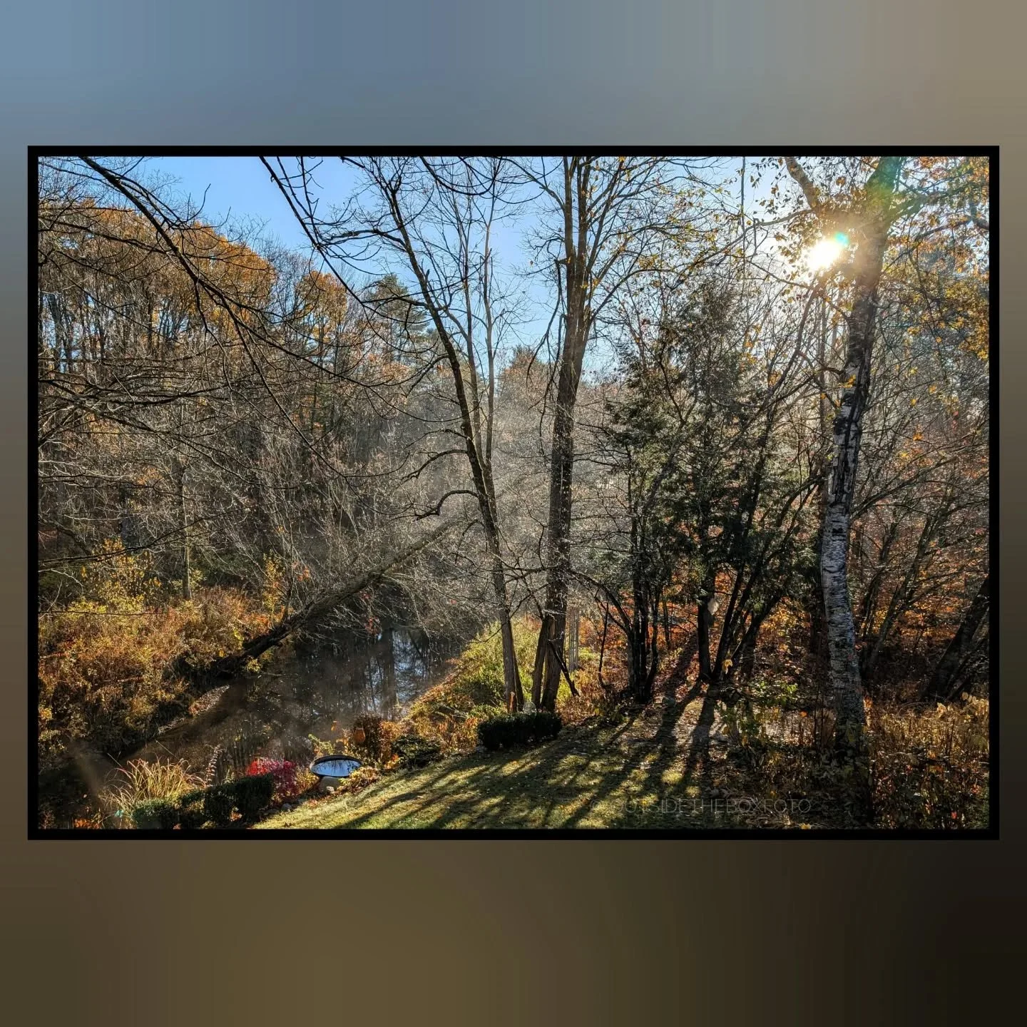 A beautiful morning with sun after the rain.