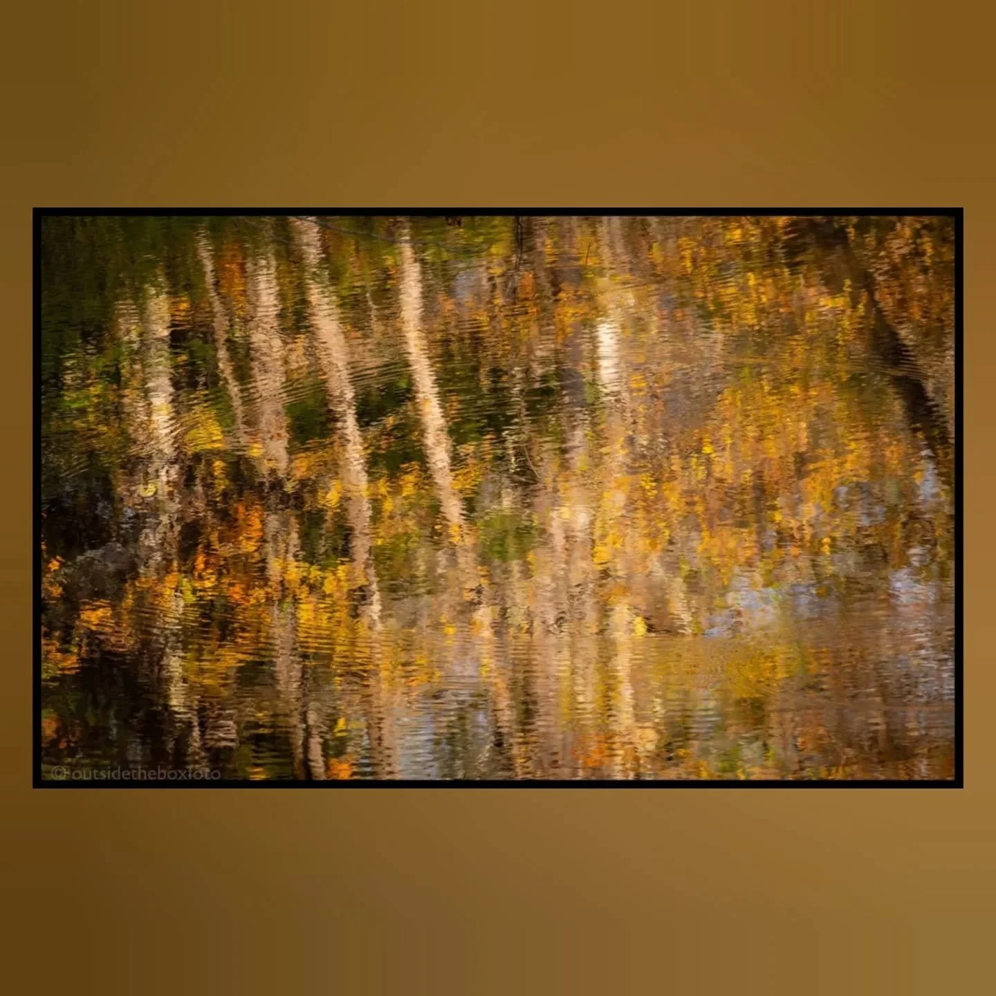 These days of late have been filled with quickly changing colors, wind swept leaves...sometimes looking like big flakes spiraling down to the water and ground, ripples &amp; reflections on the water and the low afternoon sunlight that is irresistible