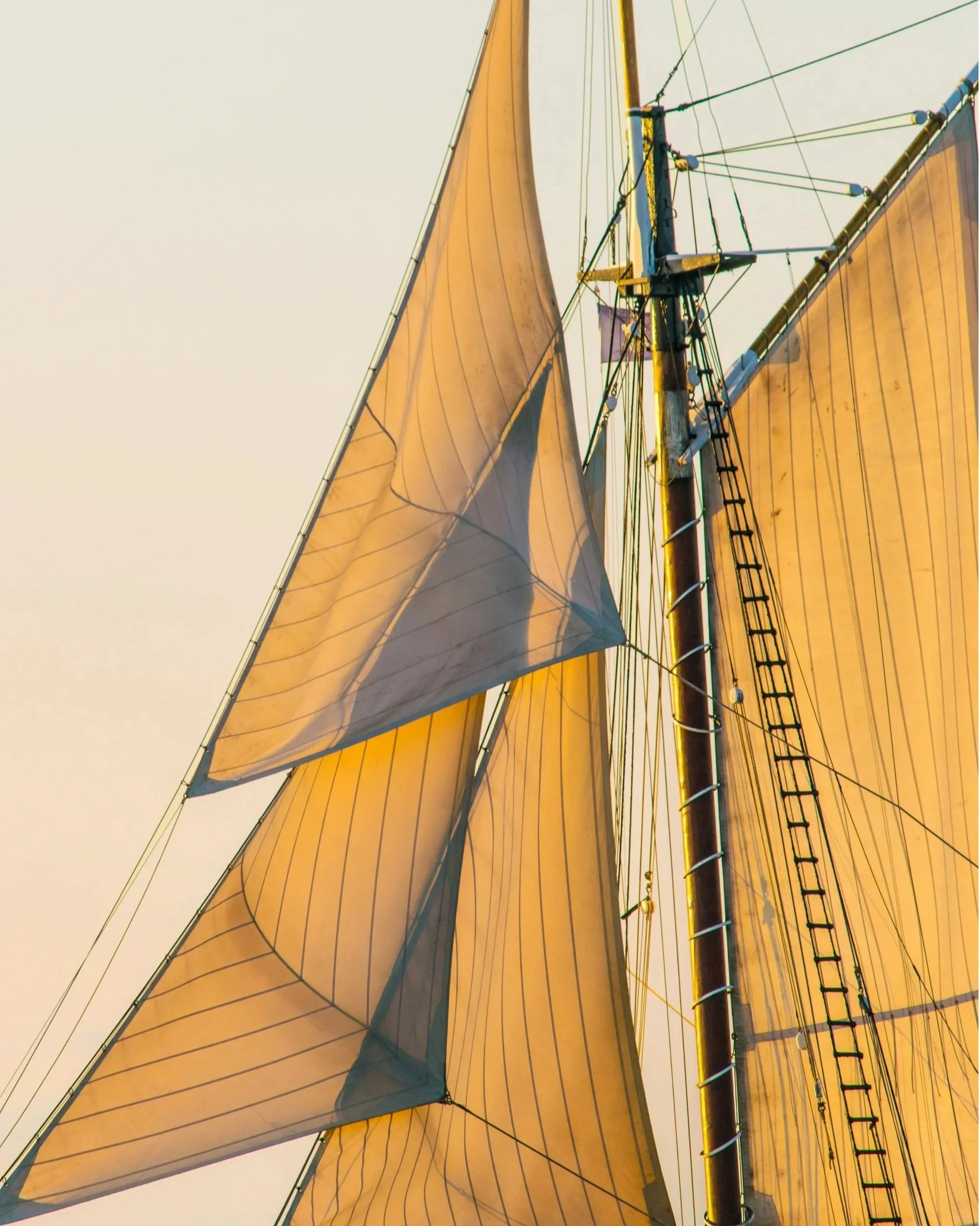 Sunset Sails  12 x 16  $350 (Copy)