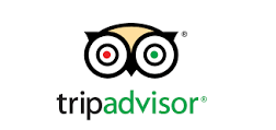 TripAdvisor.png