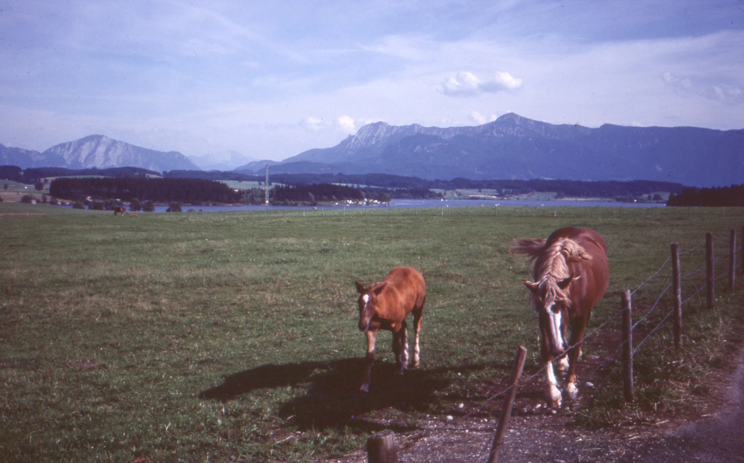 img074.jpg