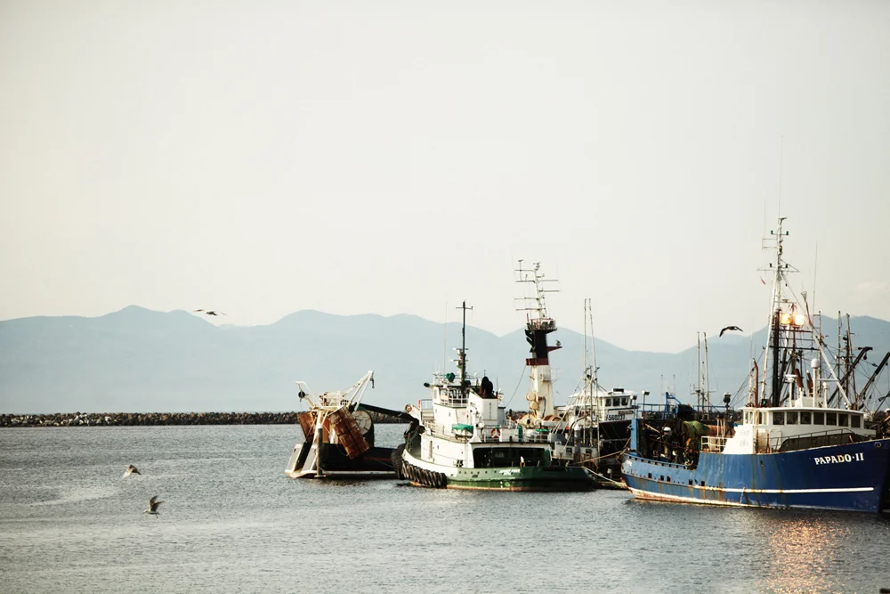 51811 seattle 0187.jpg