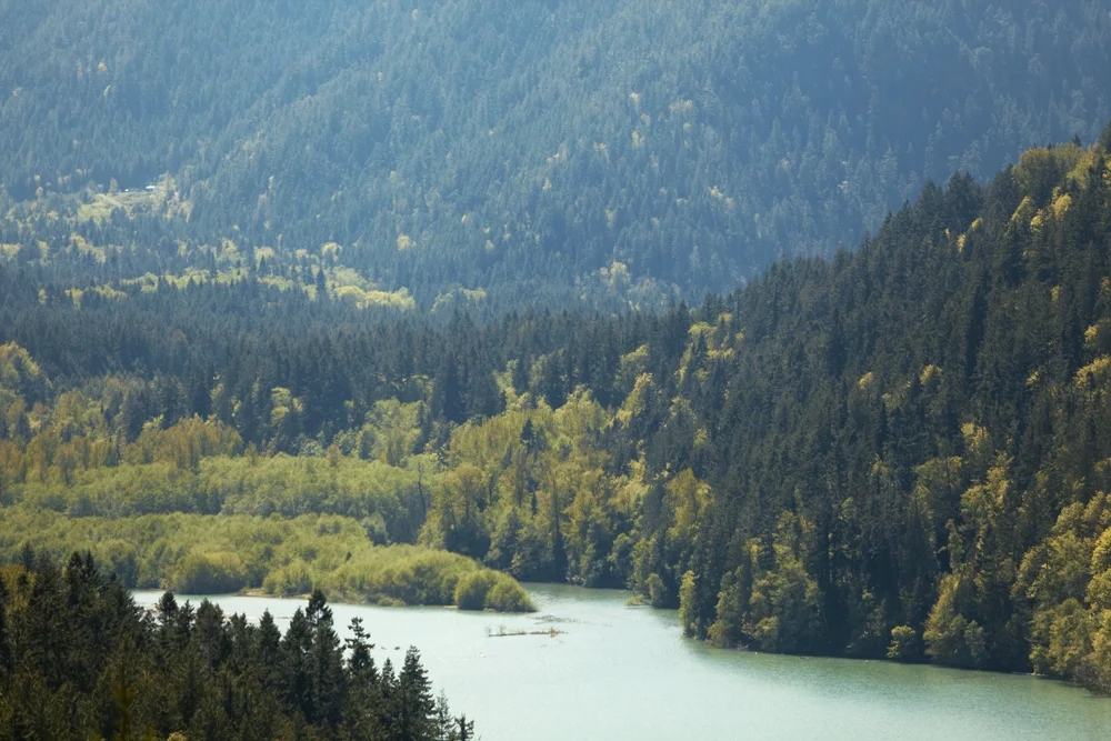 51811 seattle 0096.jpg