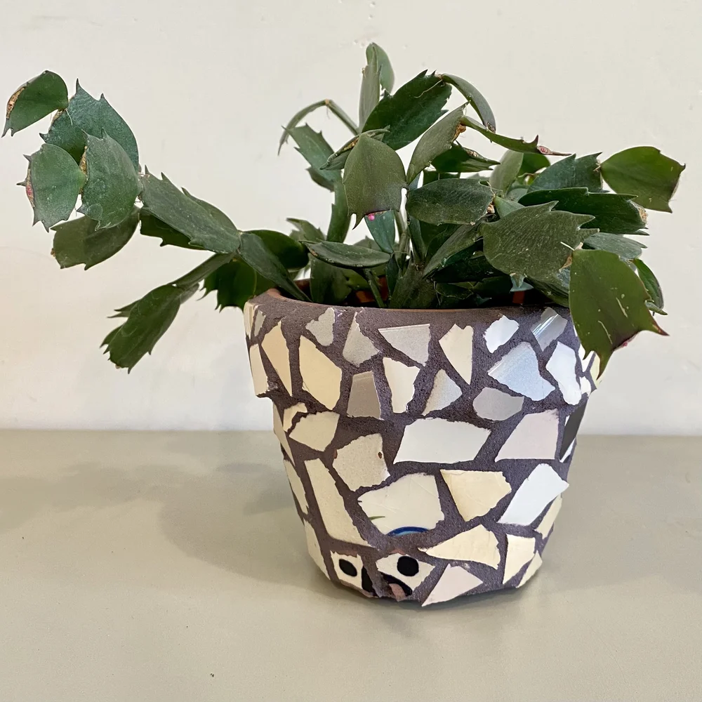 contemporary pots for indoor plants NMN Designs Knox Stainless Steel Pot Planter; Medium
