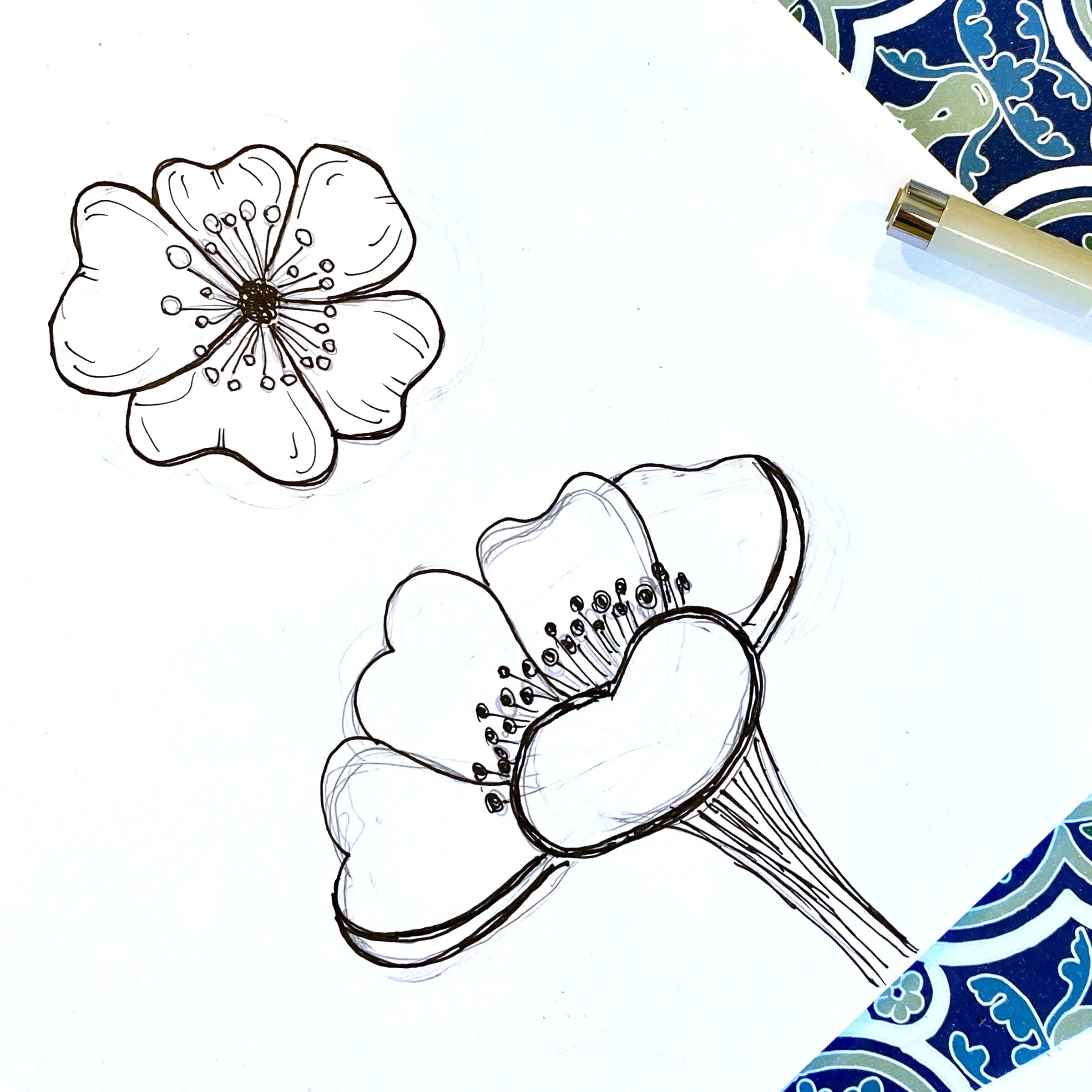 IMG_0586 Floral Illustration.jpg